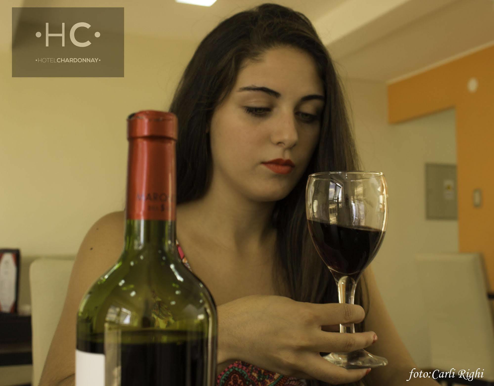 Hotel Chardonnay Tupungato Εξωτερικό φωτογραφία